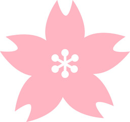 pink cheery sakura blossom flower flat icon illustration design