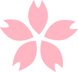 pink cheery sakura blossom flower flat icon illustration design
