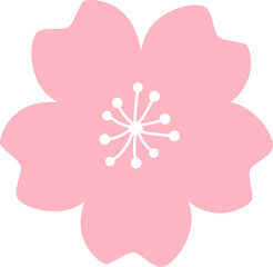 pink cheery sakura blossom flower flat icon illustration design