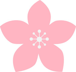 pink cheery sakura blossom flower flat icon illustration design