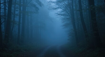Naklejka premium Foggy forest path