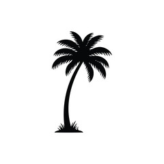Obraz premium palm tree silhouette