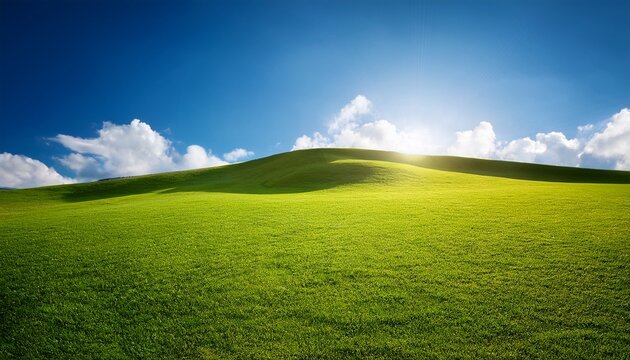 green field and blue sky lawn with short grass on a small hill sun shining from behind