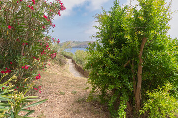 Ventotene. Sullo sfondo l'Isola di Santo Stefano - Latina - Lazio - Italia