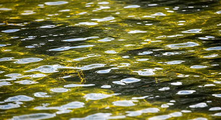 Green water surface with ripples and reflections in natural light   