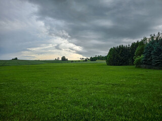 wide green field stretches under a moody, cloud-filled sky, with distant trees and soft light...