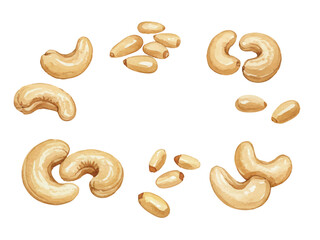 Vector watercolor Cashews and pine nuts / 水彩テイストのカシューナッツ＆松の実イラスト