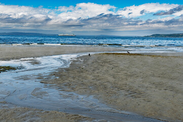 Alki Super Low Tide 5