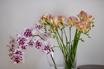 Elegant orchid and freesia bouquet in transparent vases