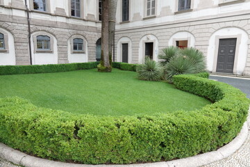lawn and garden