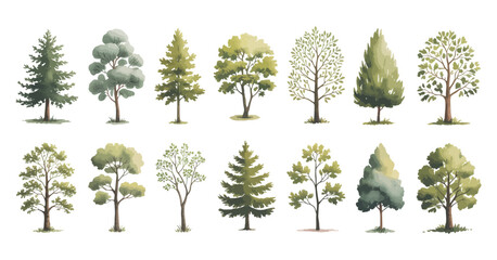 Fototapeta premium Collection of Watercolor Tree Illustrations on White Background Featuring Various Deciduous and Evergreen Tree Types Perfect for Nature and Landscape Designs