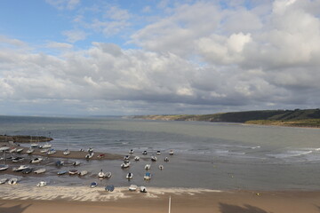 seagulls on the beach