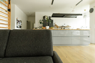 Cozy apartment interior with modern kitchen and comfortable sofa. Perfect for relaxing.