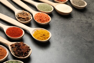 Many different spices in spoons on grey table, closeup. Space for text