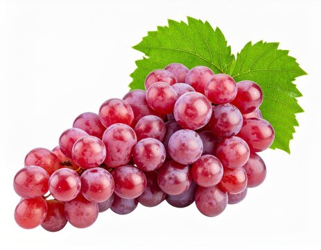 bunch of red grapes isolated on white
