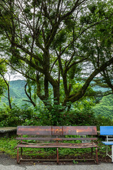 Fototapeta premium 群馬県みどり市・草木ダム（草木湖）の湖畔に置かれたベンチと新緑の森林風景。リラックス、休憩、旅行や散策など自然を楽しむシーンに適した爽やかな初夏の景色。