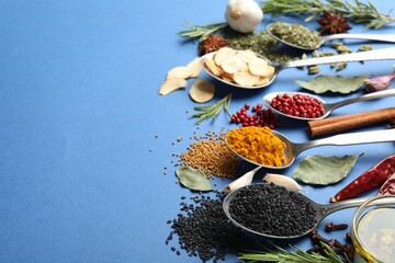 Different aromatic spices on blue background, closeup. Space for text