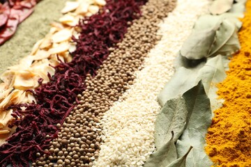 Many different spices as background, closeup view
