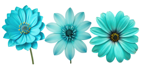 Bright turquoise flowers with varying shapes and sizes create vibrant and cheerful display, perfect for enhancing any design project