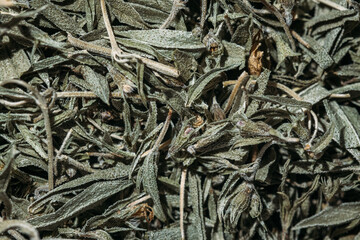 Macro of Dried Sage Leaves and Stems