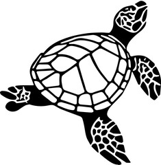 turtle vector illustration