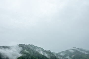群馬県みどり市で撮影した雨の日の霧が漂う山稜線と広大な灰色の空のミニマル風景（コピー用空白スペース有）
