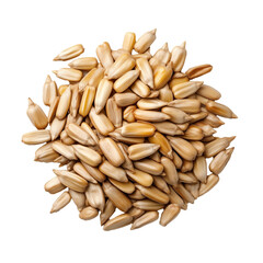 Harvesting sunflower seeds for nutrition farm field close-up photography natural light agricultural concept