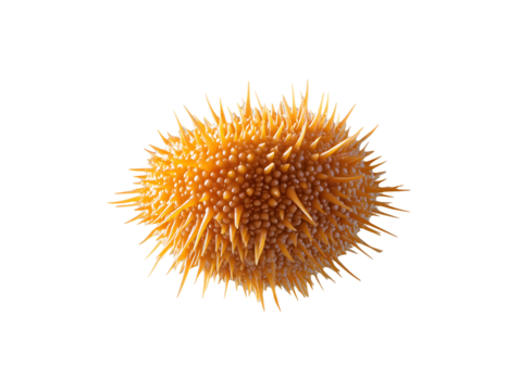 Microscopic Orange Spiky Sphere Abstract 3D Render Detailed Texture Biological Cell Science