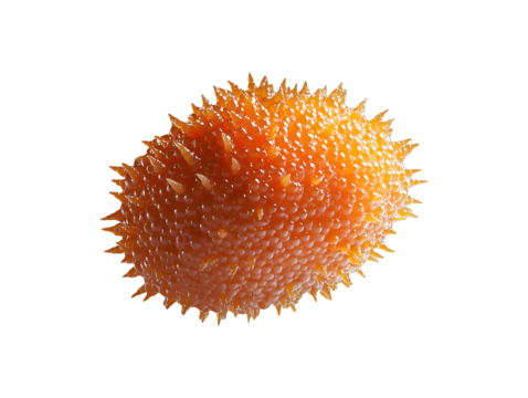 Microscopic Orange Spiky Cell Structure Detailed 3D Render of a Biological Specimen