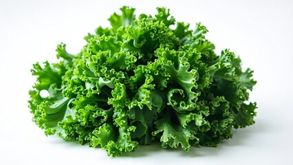 Fototapeta premium Fresh Green Lettuce with Frilled Edges on White Background