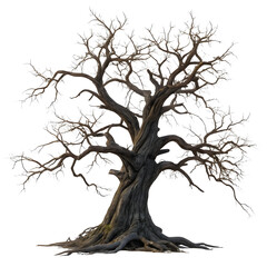 Fototapeta premium Dark spooky dead tree isolated on white or transparent background