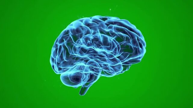 Digital neon brain with glowing lines on green screen
