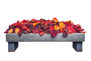 A stone bench adorned with a vibrant collection of autumn leaves. background removed