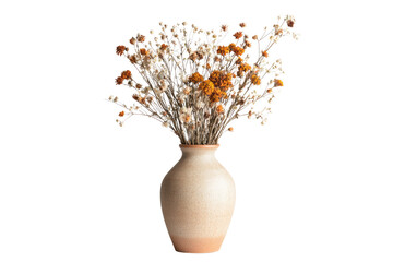 Dried flowers in a speckled beige vase, creating a rustic, autumnal aesthetic. background removed © Vibu design  gallery