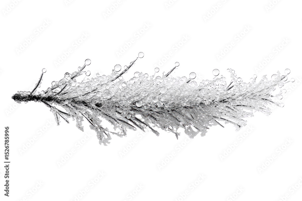 Poster close-up of a pine branch covered in glistening water droplets, creating a frosty effect. background