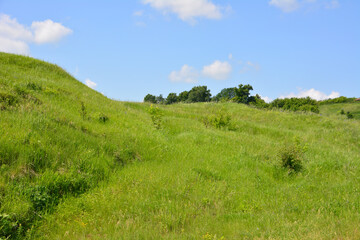 A vibrant green hillside under a clear blue sky wallpaper
