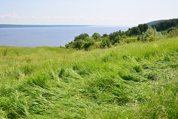 A Lush Grassy Hillside Overlooking a River on a Bright Summer Day