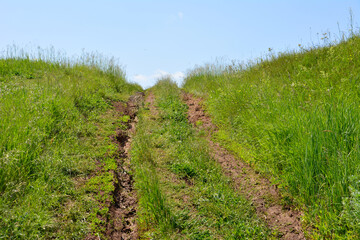 A muddy dirt track leading up a grassy slope under a clear blue sky