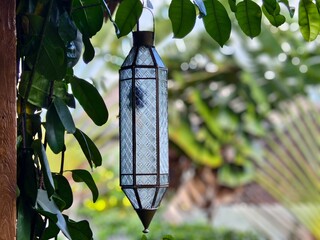 An elongated, hexagonal glass lantern Hanging in a Tropical garden