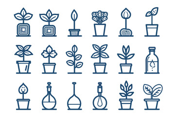 collection of home flowers on white background.