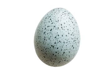 A speckled bird egg, isolated on a transparent background, showcasing its unique pattern. background removed