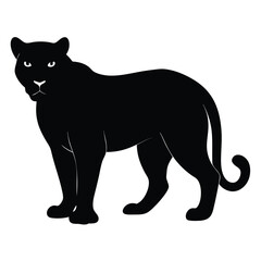 Obraz premium Majestic black panther silhouette wild cat animal