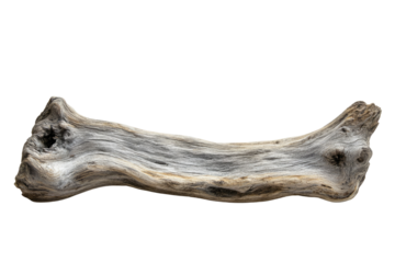 A weathered, gray driftwood piece, isolated on a transparent background. background removed