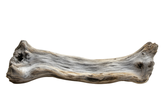 A weathered, gray driftwood piece, isolated on a transparent background. background removed