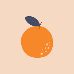 Orange fruit on isolated background. Vector illustration cartoon flat style