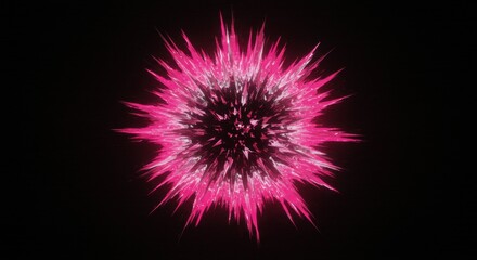 Fototapeta premium Vibrant pink explosion radiating energy against a black backdrop, creating a dynamic visual effect