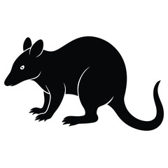 Fototapeta premium Black silhouette of a cute bandicoot animal