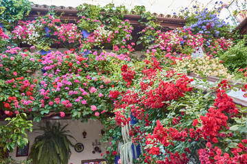 A Cordoban patio adorned with flowers in spring