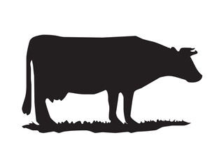 Vector isolated one single cow side view colorless black and white outline silhouette shadow shape stencil solid black