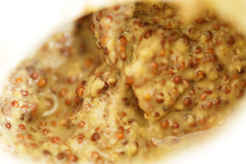 High-quality photo of mustard seeds being prepared, ideal for culinary blogs and food websites.